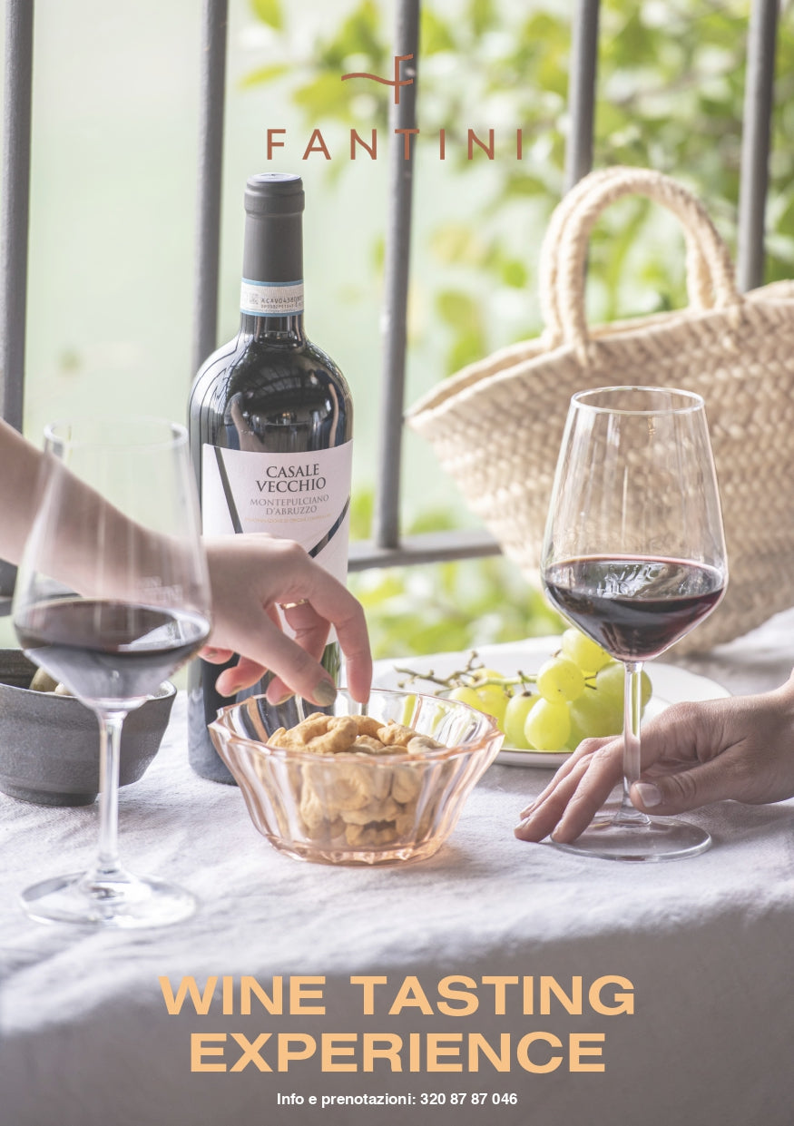 FANTINI WINE TASTING EXPERIENCE
