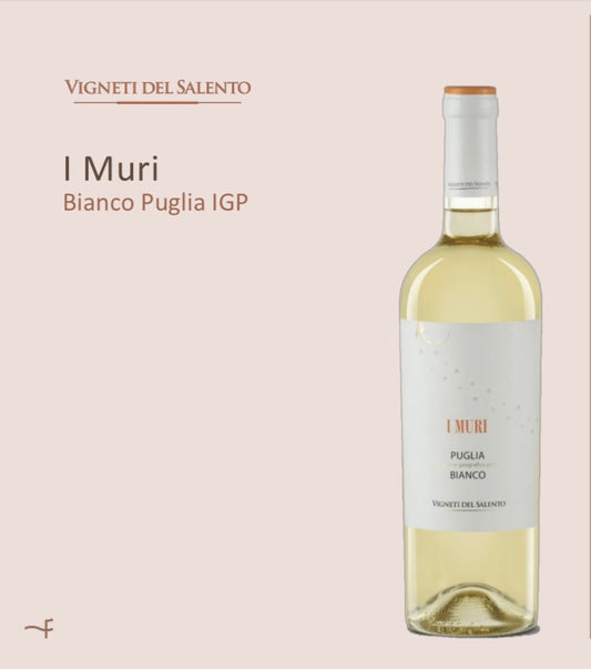 SALENTO VINEYARDS I MURI BIANCO PUGLIA FANTINI WINES