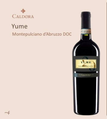 YUME MONTEPULCIANO CALDORA